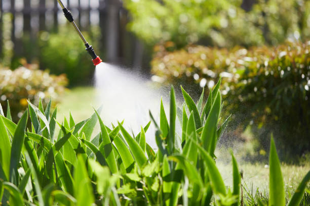 24/7 Emergency Ant Control experts in Gilroy, CA